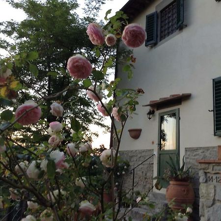 Fiesole in Giardino B&B Esterno foto