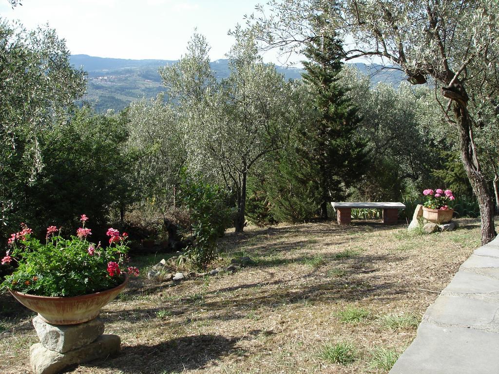 Fiesole in Giardino B&B Esterno foto