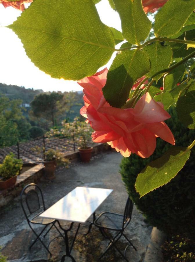 Fiesole in Giardino B&B Esterno foto